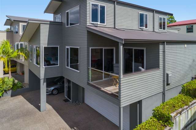 19 Tanner Street Tauranga South_1