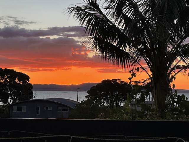 15 Waiomu Valley Road Thames-coromandel_2