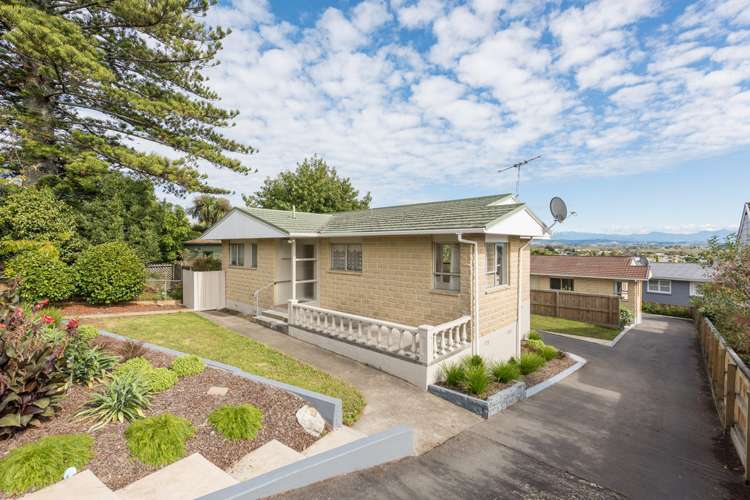 32 Wensley Road Richmond_0