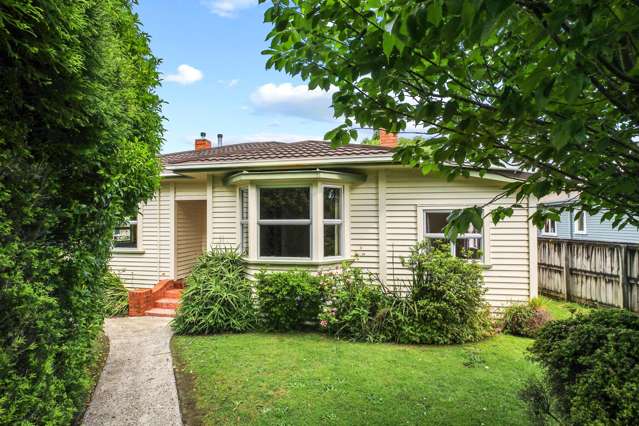 310 Park Road Te Awamutu_2