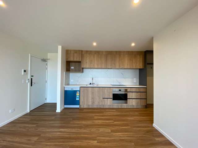 203/7 Newelm Lane Flat Bush_3
