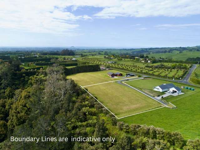 Where Country Meets Convenience