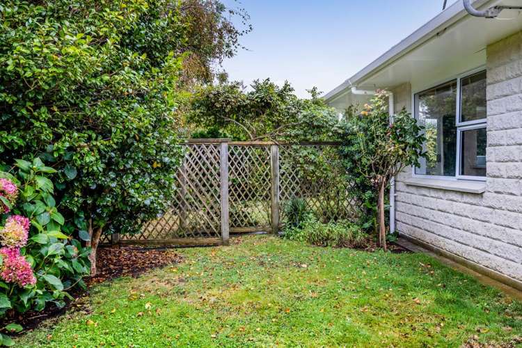 41c Disraeli Street Hawera_14