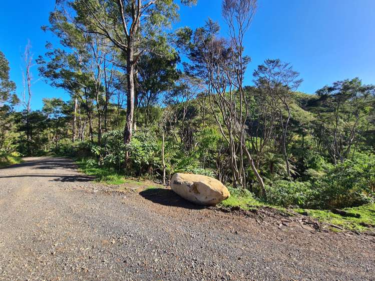 982B Manaia Road Coromandel_8