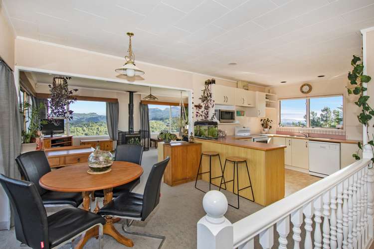 370 Vinegar Hill Road Kauri_15