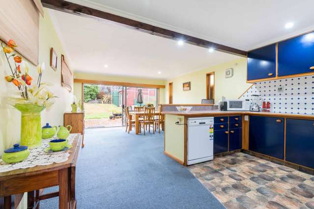 5 Delta Drive Waldronville_1