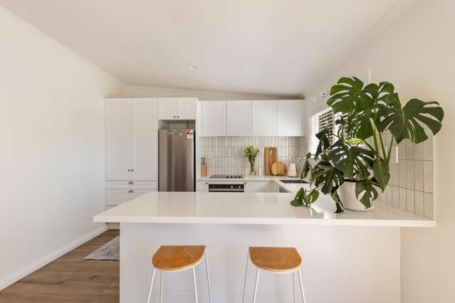 131 Lemon Street New Plymouth Central_2