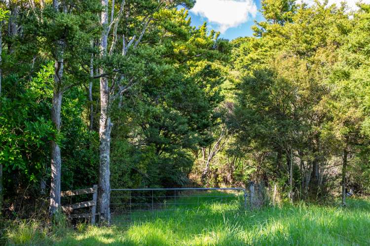 Mangahui Road Whareora_27