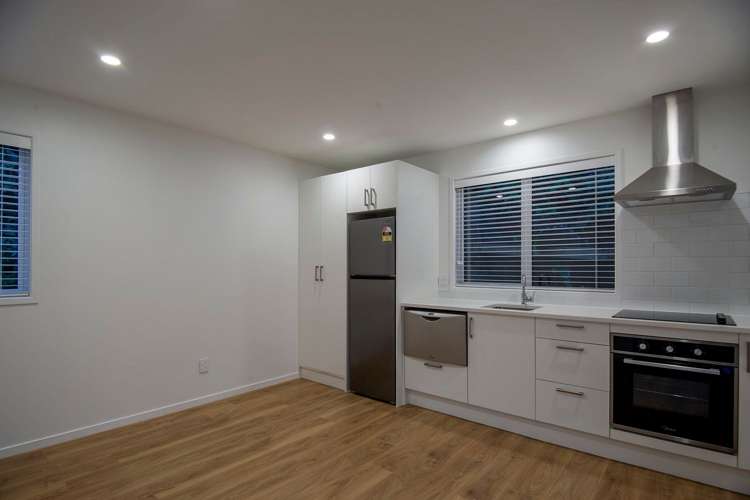 19 Commercial Road Grey Lynn_1