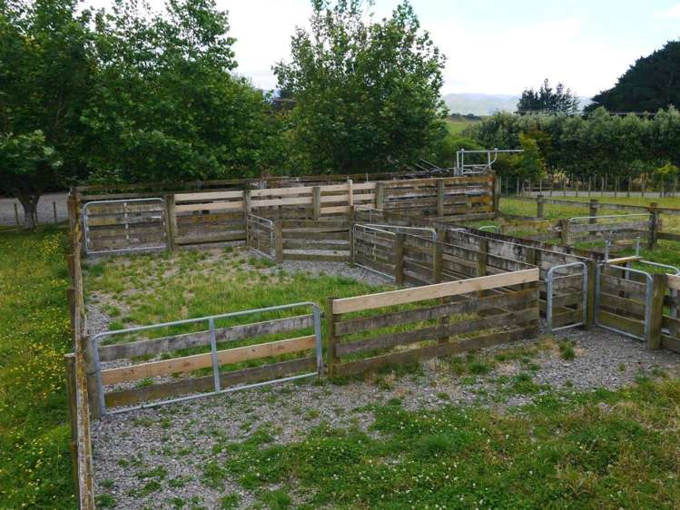 183c Smith Road Dannevirke_11