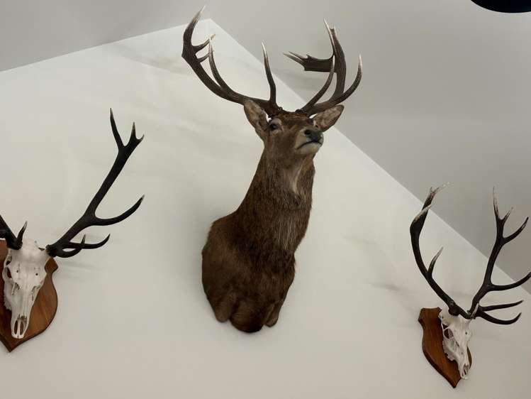 2680 Double Hill Run Road Methven_18