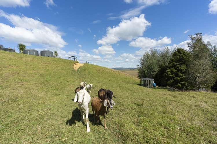 170 Corbett Road Whakapara_27