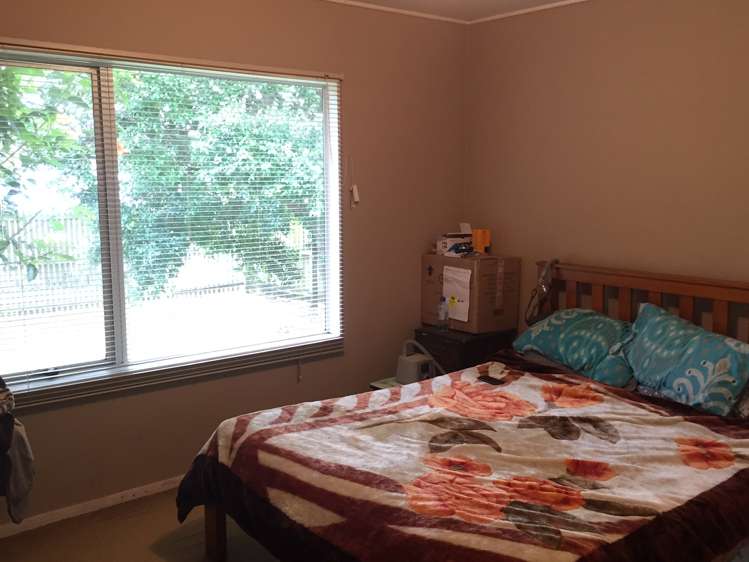 34 Finlayson Avenue Clendon Park_8