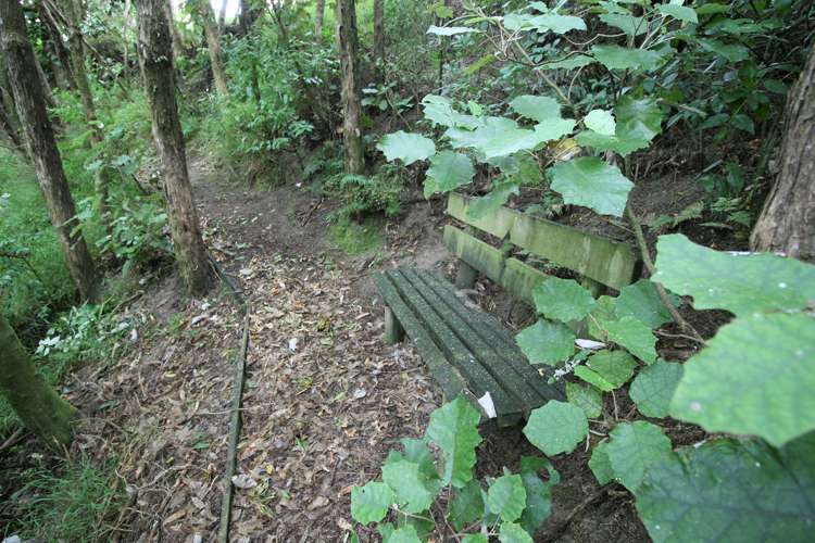 62 Kingsdale Park Drive Aokautere_17