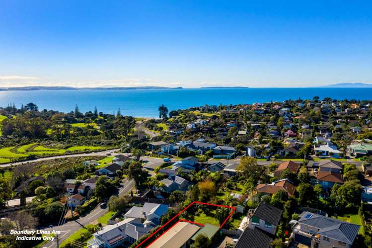 3a Watea Road Sandringham_12