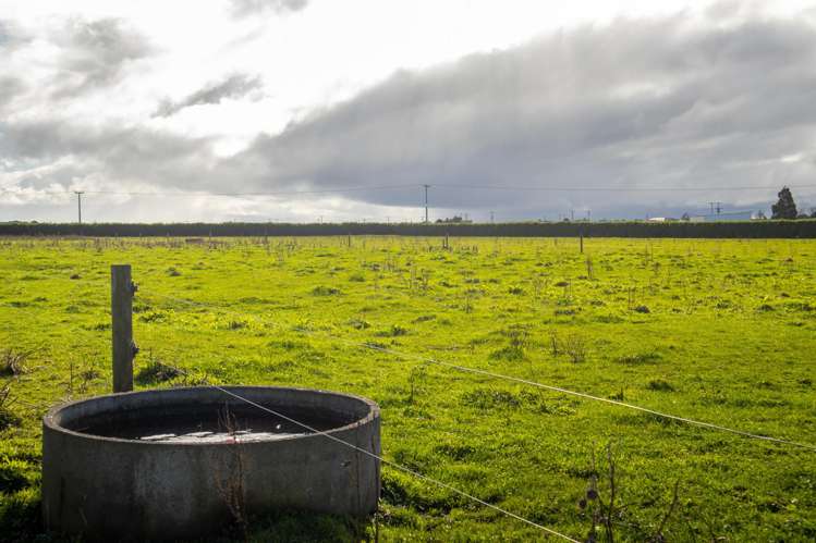 253 Tawhiti Road Hawera_6