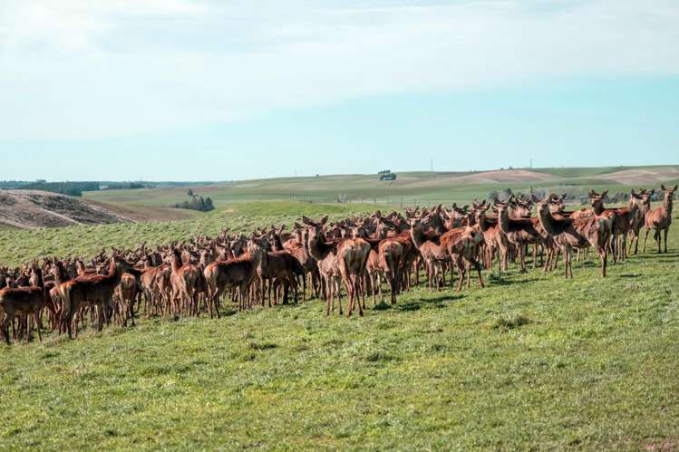 17 Timewell Road Hazelburn_20