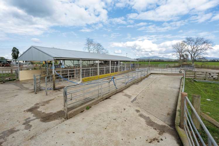 7096 State Highway 27 Matamata_5