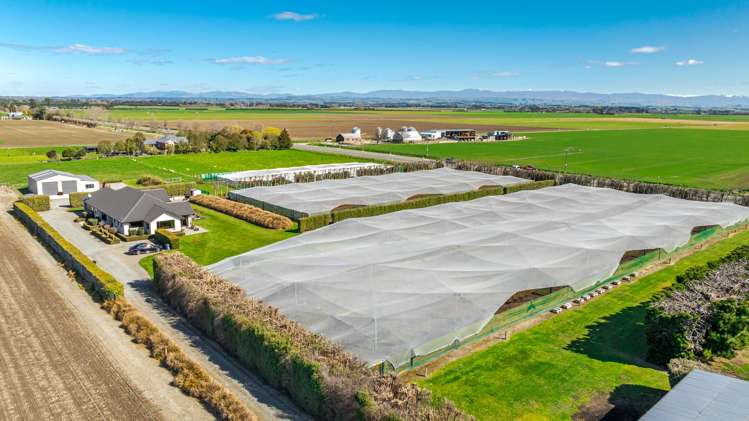 16 Arowhenua Station Road Kerrytown_85