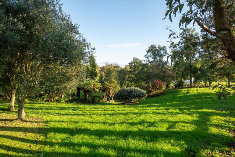 155 Woolrich Road Te Kowhai_18