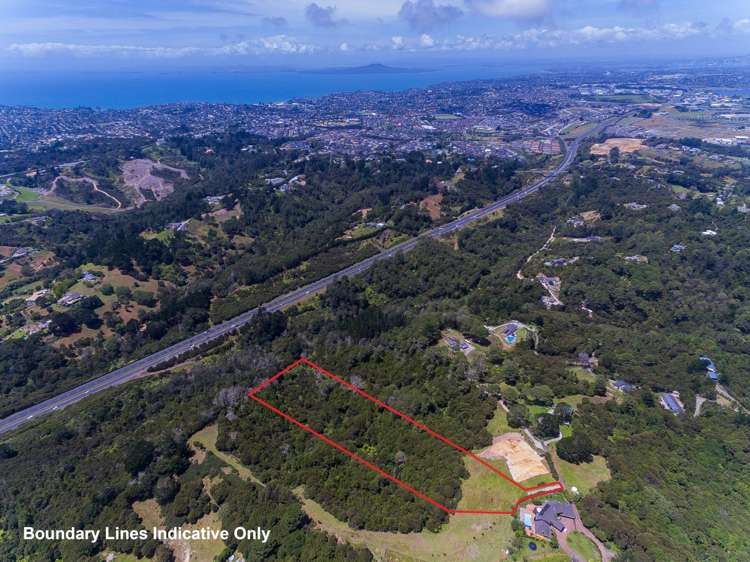 249a Wright Road Dairy Flat_2