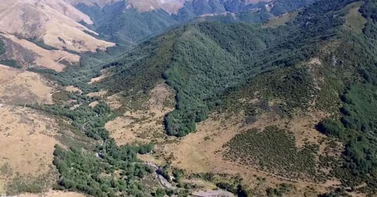 3733 Lees Valley Road Lees Valley_18