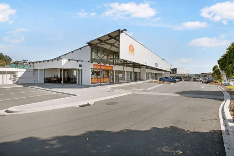 101/82 Jellicoe Road Panmure_15