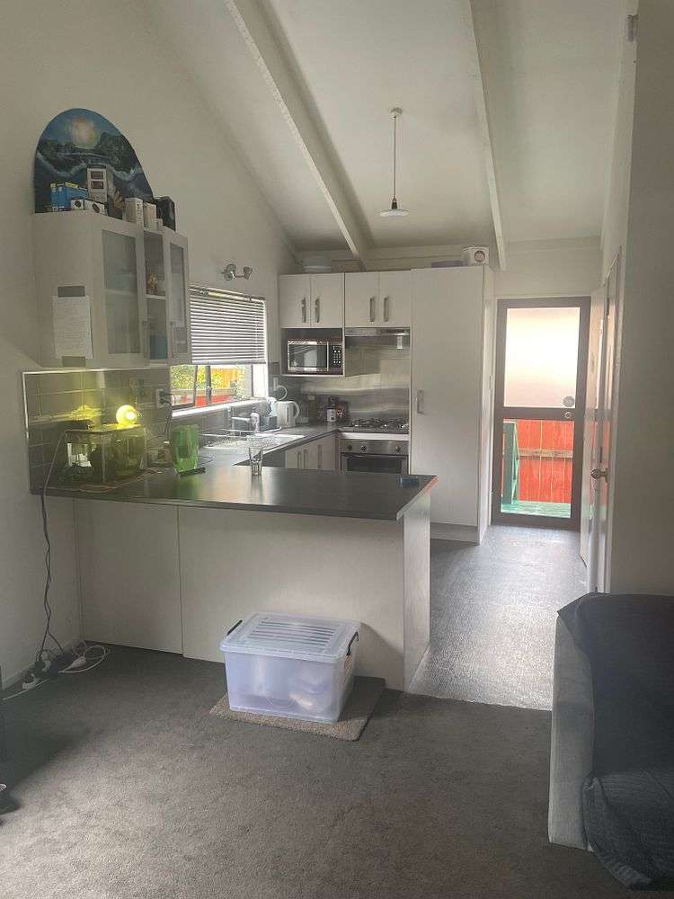 12 Mill Lane Whitiora_5