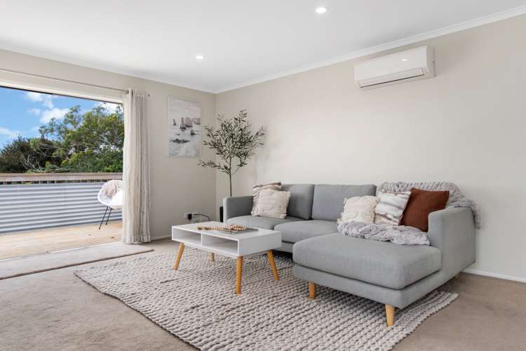 54 Harrier Street Parkvale_4