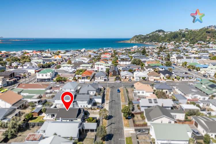 10 Palm Avenue Lyall Bay_25