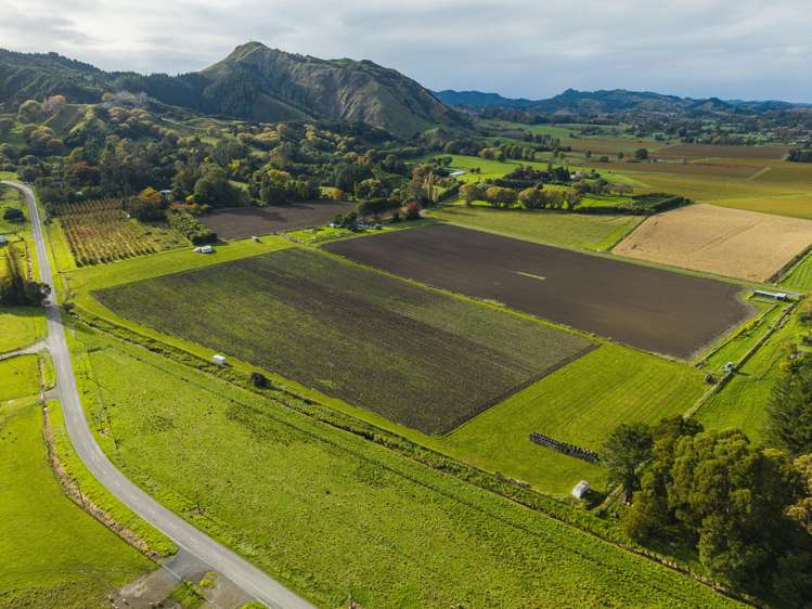Waimata Valley Road Makauri_5
