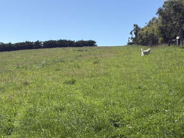 Oakwood Road Hadlow_8