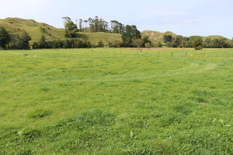 292 Gordon Road Toko_1