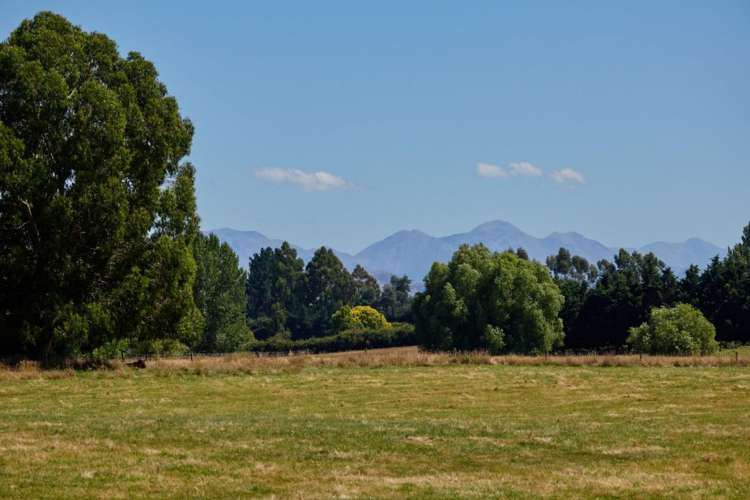 42 Mina Road Cheviot_6