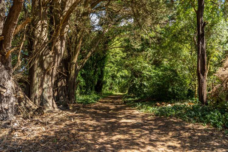 45 Beckwiths Road Glentunnel_30