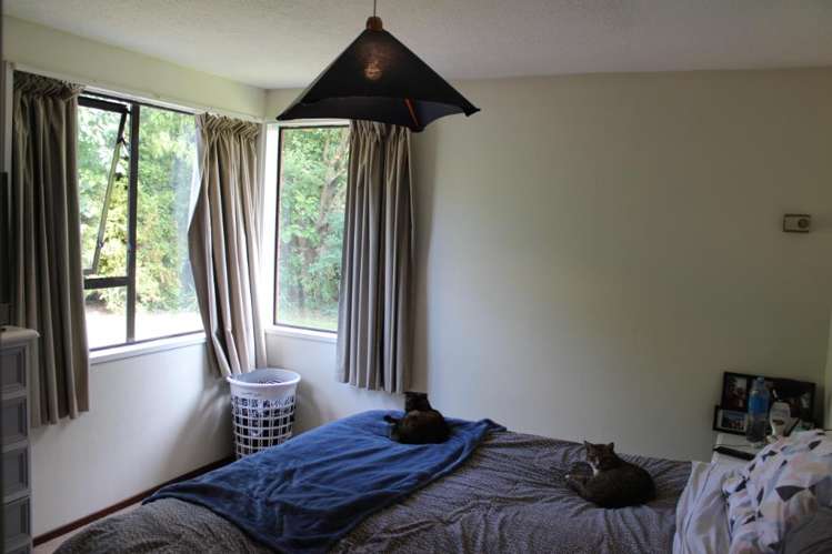 17 Ashfield Place Ilam_6