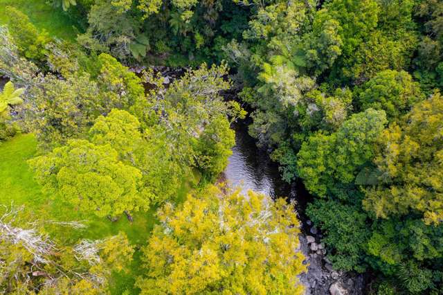 838 Mangorei Road Mangorei_4