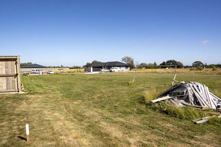 36 George Street Bulls_5