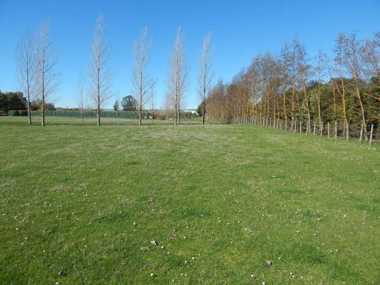 143 Riversdale Road Carterton_3