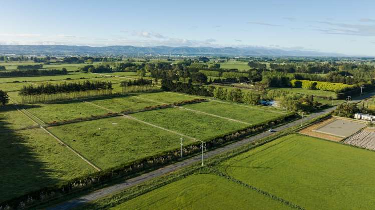 311 Kairanga Bunnythorpe Road Bunnythorpe_28