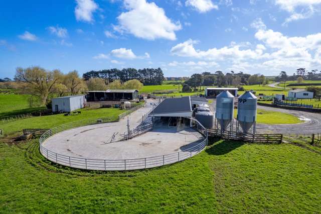 1641 Eltham Road Kaponga_4