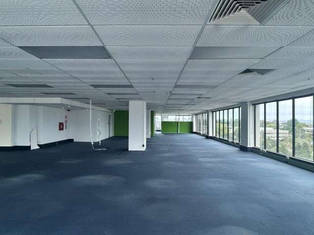 218 Anglesea Street Hamilton Central_4