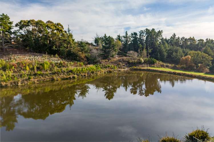 7 Kohuhu Lane Redwood Valley_9