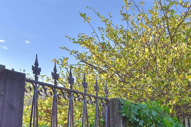 45 Bank Street Amberley_3