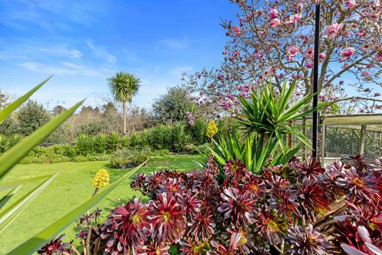 554 Rangiuru Road Te Puke_26