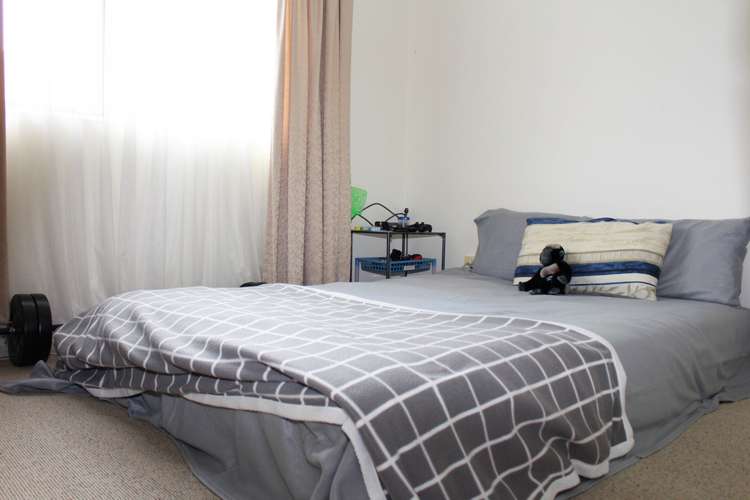 228c Te Atatu Road Te Atatu South_6