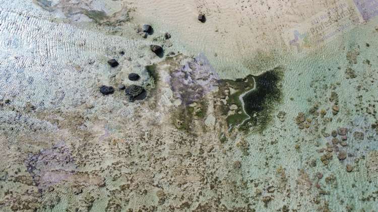 Address withheld Coral Coast_8