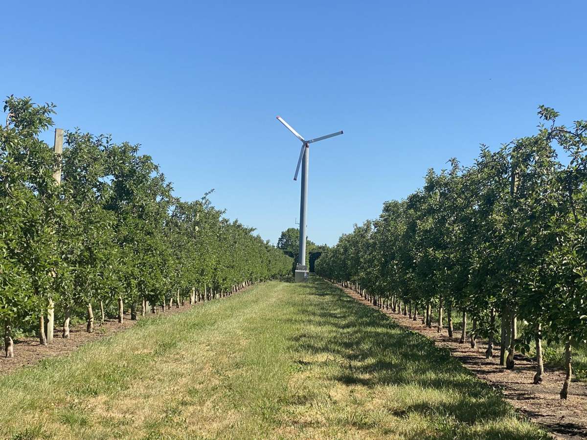 Rakete Orchards LP_2