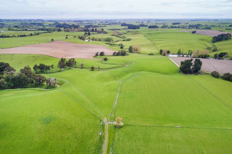 506 Sandon Road Feilding_4