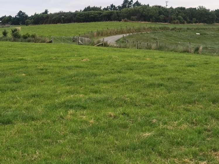 137 Kahikatea Drive Winton_10